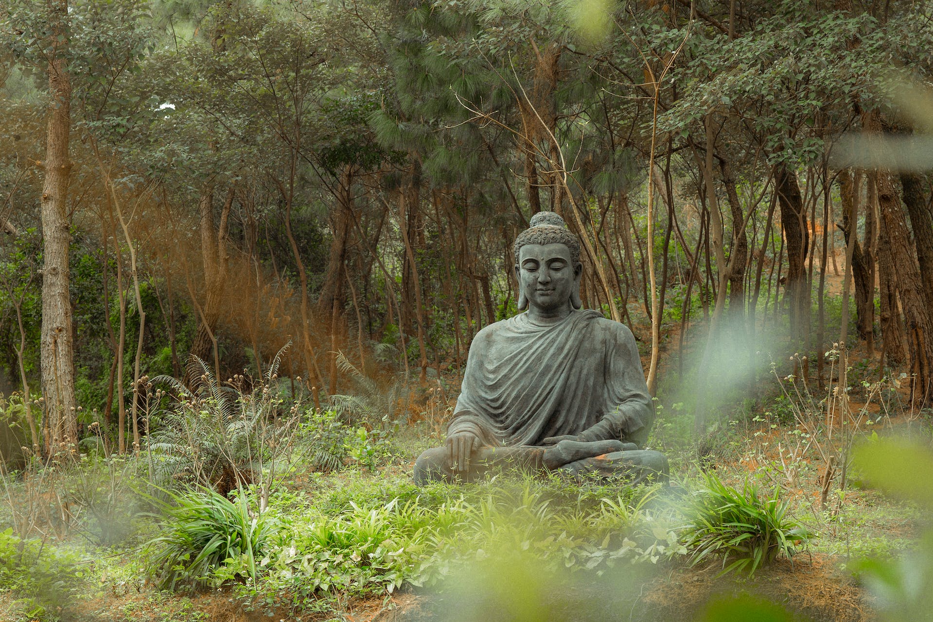 Elementos y libros para meditar